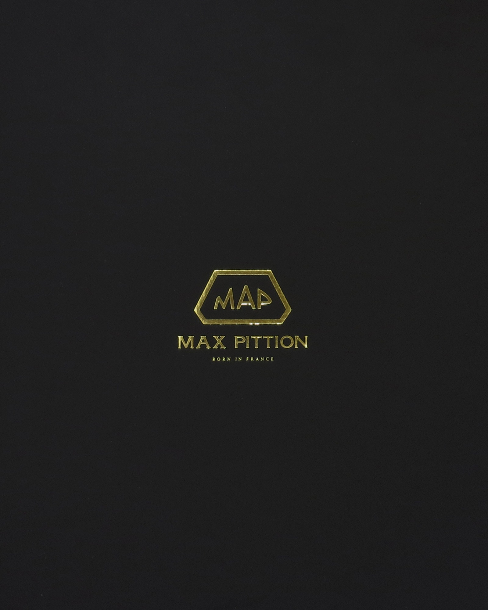 160621-max-pittion_01